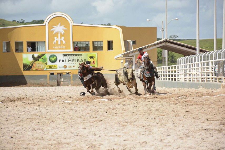 A cidade de Lagarto, em Sergipe, é a nova capital da Vaquejada