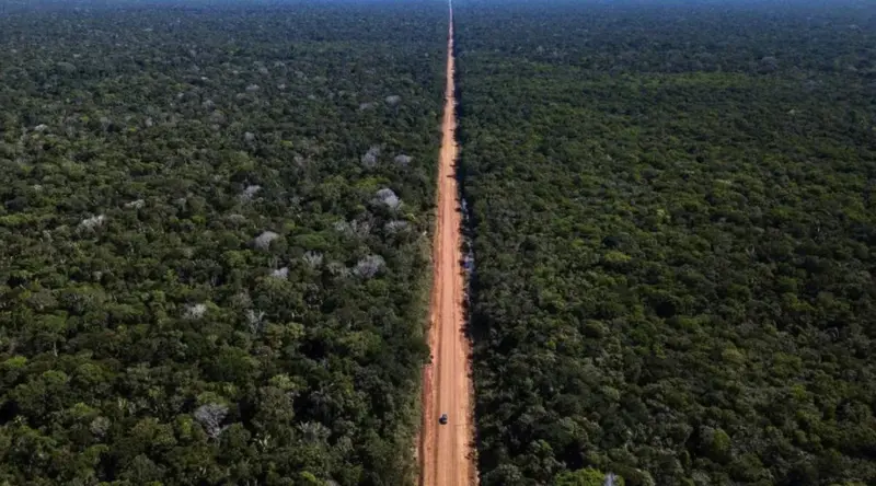 Controverso projeto de construção da Rodovia BR-319 divide opiniões no governo